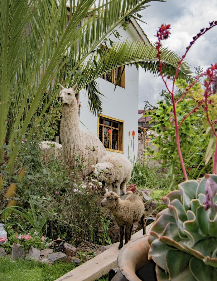 Inkita Boutique Guesthouse Cuzco Kültér fotó