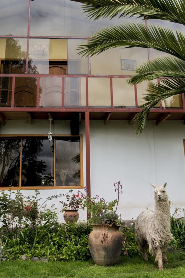 Inkita Boutique Guesthouse Cuzco Kültér fotó